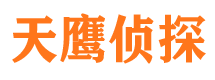 东海岛寻人公司